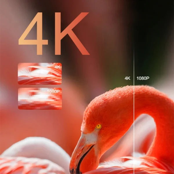 Vidda C1 RGB Triple Laser 4K Projector